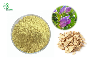 バイカル<span class=keywords><strong>Skullcap</strong></span>根エキス85% バイカリン黄色粉末HPLC認定ドラム包装 - Product Image 4