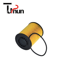 Filtre à huile de haute qualité TS HU8009z pour Cayenne II (92A) Skoda Superb II (3T) VW CC (358) Audi/Seat/Skoda/VW 2000-2004 1 an