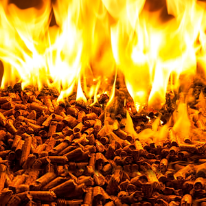 Granulés de bois 8mm en forme de morceaux pour système de chauffage, faible teneur en cendres (3%), humidité maximale 10%, 4000J, vrac 600kg/m³, Vietnam SEPON - Product Image 4