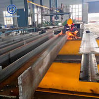 Estructura de Acero Moderna y Ligera para Construcción, Panel AAC/ALC Ignífugo, Material de Pared de Hormigón Celular