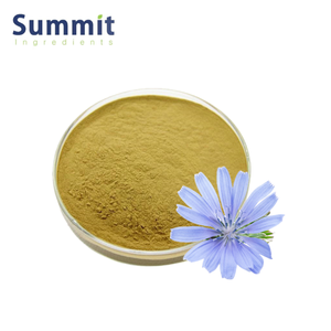 Чистый Травяной Растительный Экстракт обычного цикория/4: 1 ~ 20: 1 экстракт корня суккори/экстракт корня эндайвинга - Product Image 4