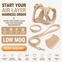 Kit de promenade personnalisé pour animaux de compagnie en tissu réglable avec harnais de poitrine rembourré, collier et longue laisse pour chien – Accessoires d'extérieur sur commande