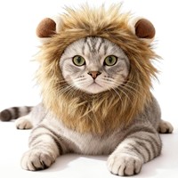 Perruque pour chat de compagnie, modèle lion, avec oreilles de lapin, drôle, en polyester, pour l'hiver, Halloween, cosplay, chapeau mignon pour chat, tendance sur internet
