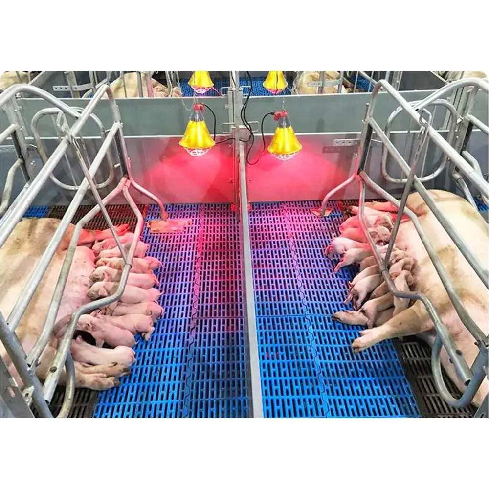 whole sale price ISO certificate galvanized pig farrowing crate pig pen piggery equipment pig farm