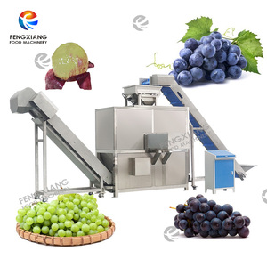 Industriële Stoom Druivenschilmachine Elektrische Stoom Druivenschiller Machine Automatische Druivenschiller Met Transportband - Product Image 2