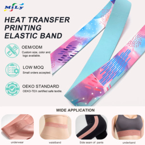 Bande élastique en polyester pour sangle de masque de <span class=keywords><strong>ski</strong></span>, ceinture élastique, couleurs personnalisées, largeur réglable, impression par transfert thermique, sangle tissée – Offre Spéciale - Product Image 1