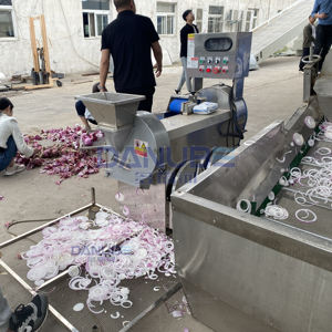 Séchoir à bande en maille durable pour oignons, machine de séchage d'oignons et d'ail, ligne de production de séchage d'ail, déshydrateur d'ail - Product Image 5