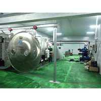 Industriële vacuümvriesdroger voor fruit en groenten, 1000 kg/batch, energiebesparend, CE-gecertificeerd