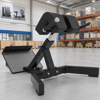Chaise romaine professionnelle pour exercices de renforcement musculaire en salle de sport