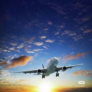 Дешевые авиаперевозки переправляют дропшиппинг агента в Лос-Анджелес Хьюстон Нью-Йорк Торонто Мексика - Product Image 6