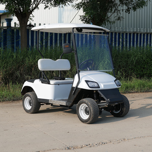 Carrito de Golf Clásico de 2 Plazas Económico con Batería de Litio/Plomo-Ácido Personalizable de 48V/60V/72V - Product Image 5
