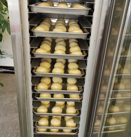 Prix d'usine – Machine de fermentation électrique pour boulangerie, 36 plateaux, avec vapeur