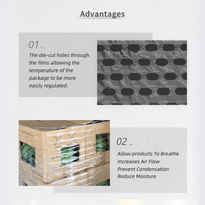 Grosir Bungkus Palet Berlubang Vented Lldpe Stretch Film untuk Kemasan Tanaman - Product Image 4