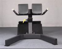TAP Gym commercial utilisant une machine d'extension du dos à 45 degrés Banc de presse romain réglable Banc d'hyperextension