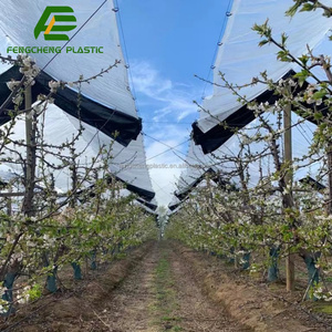<span class=keywords><strong>Bâche</strong></span> transparente résistante aux déchirures et imperméable avec bords renforcés pour l'agriculture moderne - Product Image 1