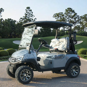 Carrito de Golf Eléctrico de 2 Plazas en Oferta, Carro de Club para Adultos, Homologado para Circular por la Calle, 48V, Certificado por la CEE - Product Image 5