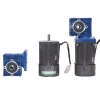 Moteur à engrenages à courant alternatif monophasé RV030/RV040/RV050/RV063 Turbine à vis sans fin Régulation de la vitesse 40W/60W/120W/25W