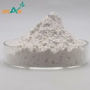 Высокое качество белая фасоль пищевой порошок белый экстракт фасоли