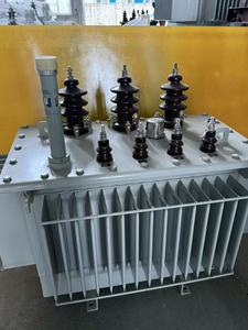 S13-M-125/10 Ölgekühlte Transformatoren aus Kupfer - Product Image 4