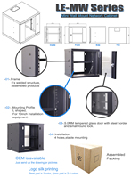 Armoire de serveur murale LE, 19 pouces, 2U, 4U, 6U, 9U, 12U, armoire réseau, profondeur 300 mm, acier laminé à froid SPCC, IEC297-2