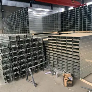 Chinese Manufacturer Cable Tray Ladder