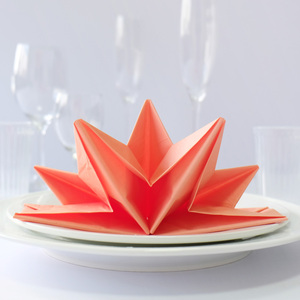 Santian Paper 3Ply Disposable Box <strong>Tissue</strong> Warm Color Printed Napkins for <strong>Weddings</strong> Happy <strong>Wedding</strong> Napkins - Product Image 5