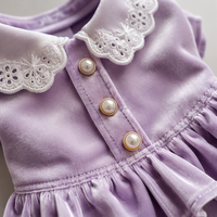 Robe personnalisée pour chien en velours doux avec col en dentelle, boutons perlés, garniture dorée, style péplum, vêtements pour animaux de compagnie, tenue à volants pour chiots et chats, vente en gros OEM