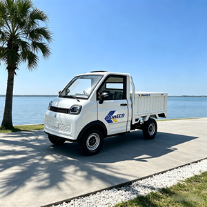 Factory <strong>Hot</strong> Sale Electric Mini Truck 3500W Motor With 1.6*1.36m Cargo <strong>Bed</strong> and Hydraulic System - Product Image 1