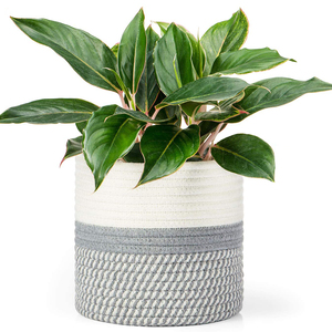 Panier <span class=keywords><strong>de</strong></span> plantes <span class=keywords><strong>en</strong></span> <span class=keywords><strong>corde</strong></span> <span class=keywords><strong>de</strong></span> coton tissé avec poignées - Product Image 3