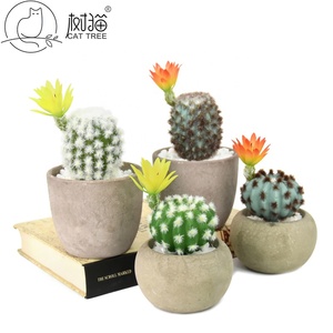 Nouveau Style Mini Faux Ball Cactus <span class=keywords><strong>Plante</strong></span> Succulente Artificielle pour la Décoration de Table - Product Image 4