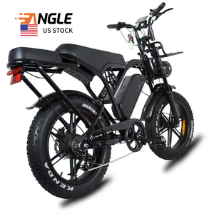 Bicicleta Eléctrica ANGLE G20, Almacén en EE. UU., Fat Bike con Suspensión Completa, 1000w, 20 Pulgadas, Estilo Retro, Bicicleta Eléctrica de Montaña, Bicicleta Eléctrica Todoterreno Económica de Fábrica - Product Image 2
