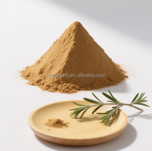Precio directo de fábrica 60% ácido carnósico extracto de hoja de Romero de grado alimenticio polvo solvente extraído en tambor Extracto de planta de envasado - Product Image 3