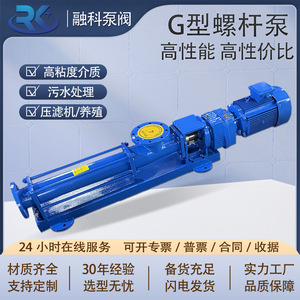 Bomba de tornillo simple tipo G Rongke G30-1 de hierro fundido resistente a la corrosión para dosificación de PAM en prensa de filtro. - Product Image 4