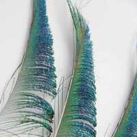 Vente en gros de plumes de paon naturelles de 30 à 100 cm pour la décoration de costumes de carnaval, de danse samba et de festivals