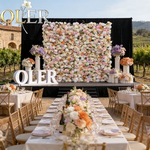 Arco Metálico Decorativo para Fiestas de Cumpleaños, Arco Metálico Elegante o Decoración para Eventos, Compre Arcos Metálicos Dorados para Fiestas en Estados Unidos - Product Image 1