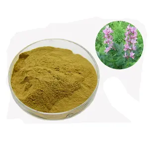 Factory Supply Densefruit Pittany Root-bark Extract Powder High Quality Dictamnus Dasycarpus Extract Powder