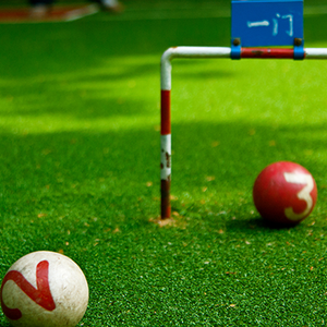 Des échantillons de gazon pour terrains de sport multifonctionnels variés, offrant une excellente durabilité et résistance aux intempéries, sont disponibles gratuitement. - Product Image 1