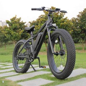 Vélo électrique tout-Terrain de 26 pouces, RaiderRover-34F w, 750 pouces, pour adultes - Product Image 2