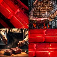 Charbon de bois anthracite en briquettes Sanwa Takeumi Premium 100% naturel sans produits chimiques 0,5% de cendres et de soufre 7 heures d'utilisation continue