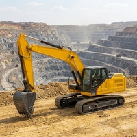 Excavatrice hydraulique de 22 tonnes 922F, équipement de terrassement pour le creusement de fossés et l'aménagement paysager