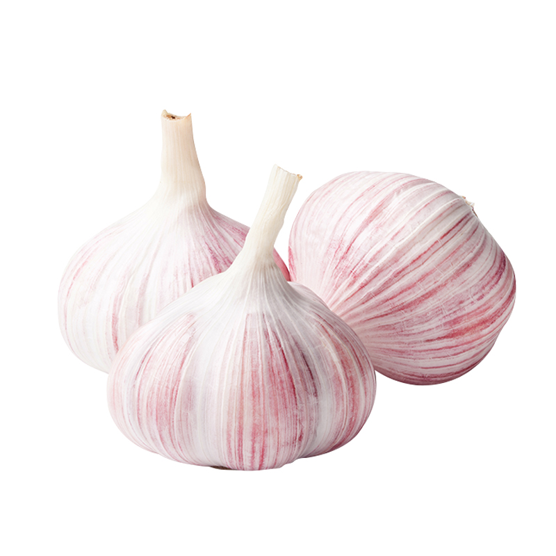 Fresh garlic purple fresh vegetable supply with good garlic market price by professional supplier