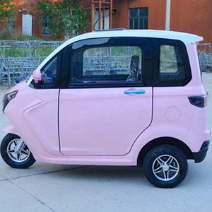 Tricycles électriques inversés inversés trois tricycles électriques fermés 1000W 1500W Scooter électrique à roues de cabine - Product Image 5