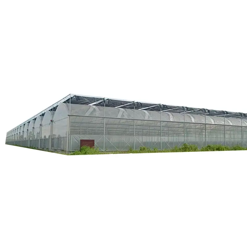Multi-Span film greenhouse Intelligent greenhouse Green House for Gardening / Indoor Farming / Tomato / Lettuce / Herb