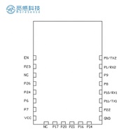 Module sans fil IEEE 802.11b/g/n BL2028N, puce IC, Wi-Fi 2,4 GHz et BLE 5.2, module combiné Wi-Fi pour solution IoT