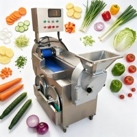 Ervarangetrouwd 	 Commerciële machine voor het snijden van lente-ui, kool, aardappel, komkommer en andere groenten 	 Fruitverwerkingsmachine