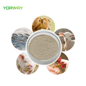 Probiotico Bacillus Coagulans di Grado Alimentare in Offerta, 10 Miliardi, 20 Miliardi, 100 Miliardi CFU/g - Product Image 5