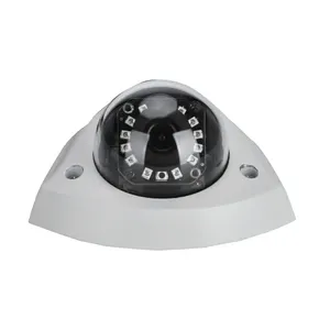 Richmor Professional 1080p High-Definition Waterproof Dome Camera Night Vision CCD Sensor OEM Supported H.264 Video Compression
