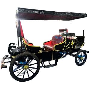 Transport spécial sans cheval de chariot de mandrin de visite électrique de 6 places d'approvisionnement d'usine d'OEM à un prix - Product Image 4