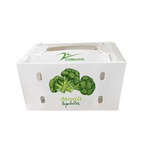 Meilleur prix Poly PP feuille ondulée frais pomme raisin emballage en plastique polypropylène Fruits stockage expédition boîte de circulation