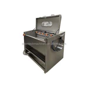 Machine automatique de nettoyage, épluchage et lavage en acier inoxydable pour gingembre, carotte, fruits, légumes, patate douce, taro et betterave - Product Image 4